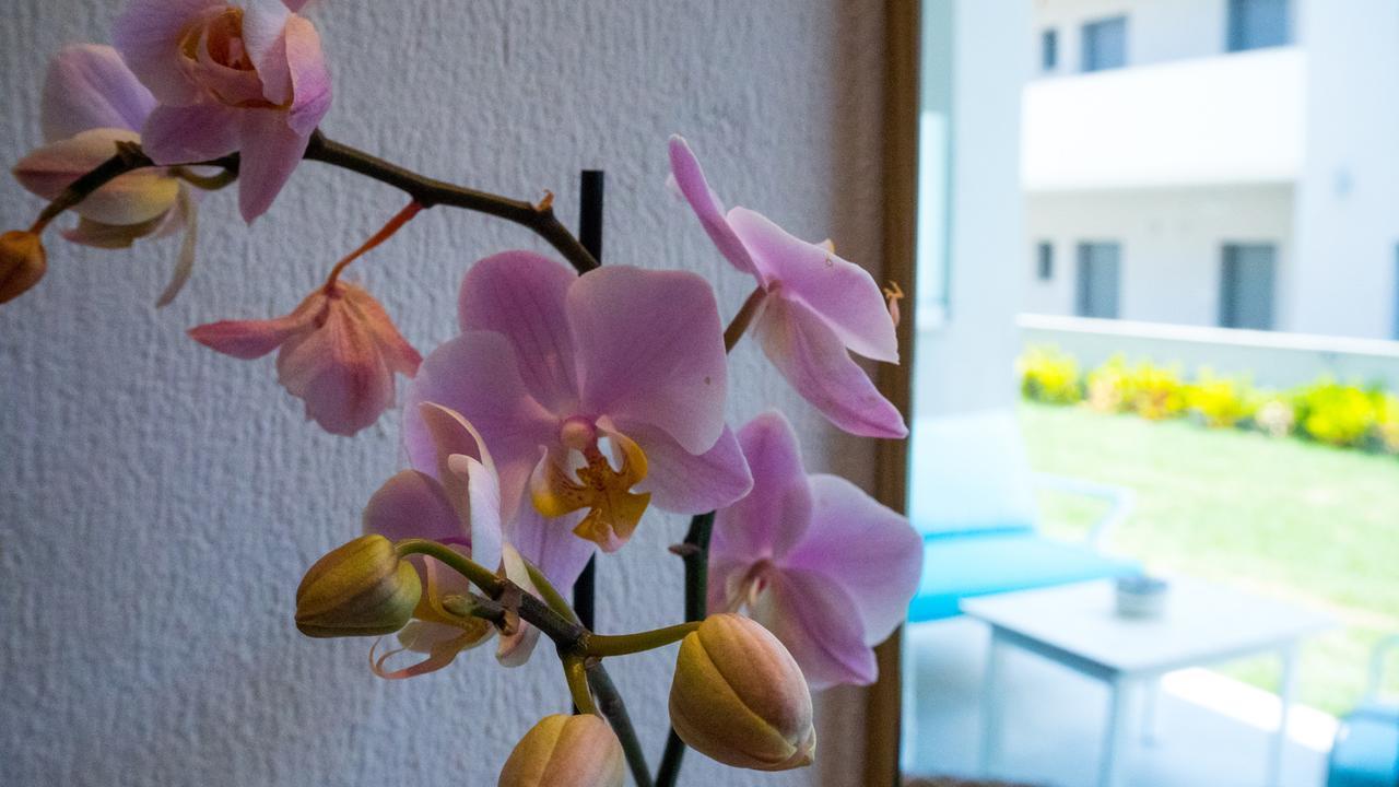 Costa Domus Blue Luxury Apartments Нікіті Екстер'єр фото
